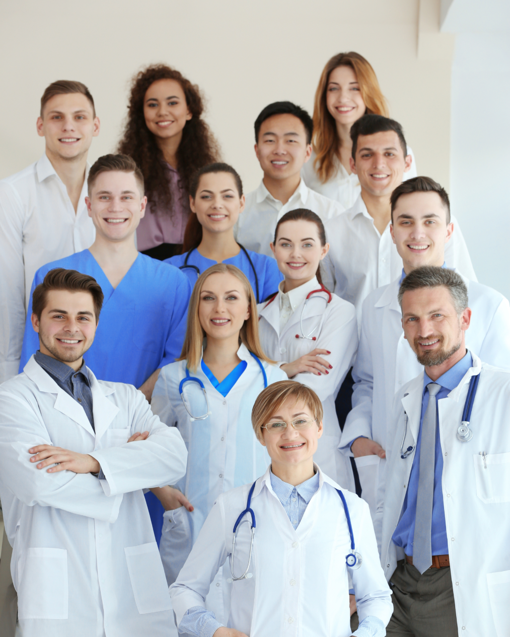 Healthcare IT Professional